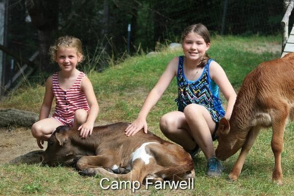 Летний лагерь для девочек в США - Camp Farwell. Домашний зоопарк
