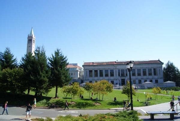Летние школы США, Сан-Франциско. Калифорнийский университет в Беркли.
