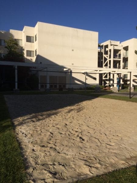 Летняя программа в Калифорнии. Кампус Калифорнийского университета в Фуллертоне - площадка для пляжного волейбола